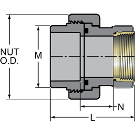 Union - Socket/Brass Fipt/FKM